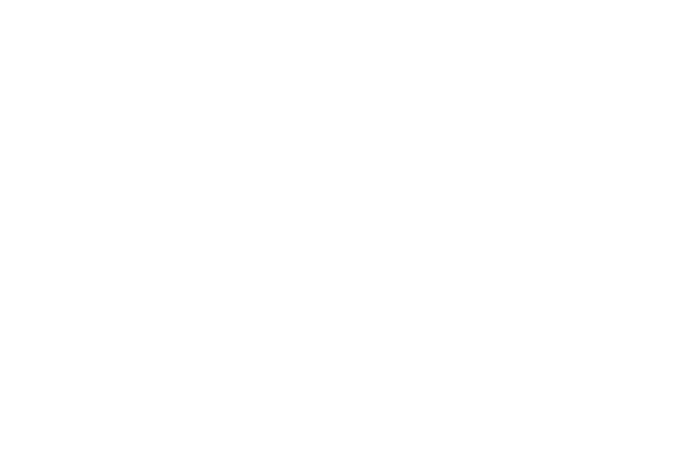 Logo bianco