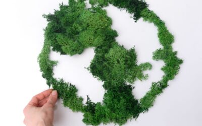 Come integrare i criteri ESG nella mobilità aziendale